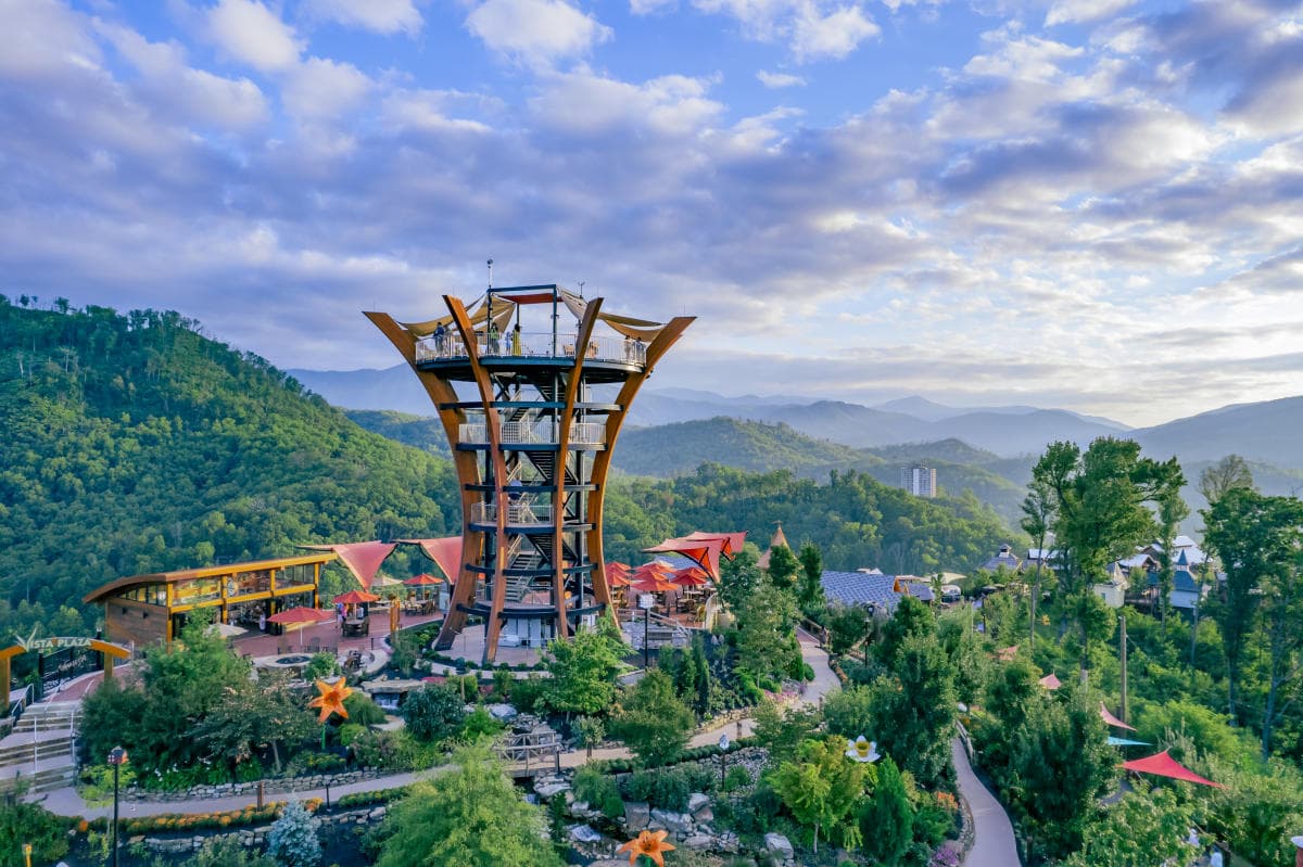 Ascend to Adventure: Unveiling the Magic of Anakeesta in Gatlinburg